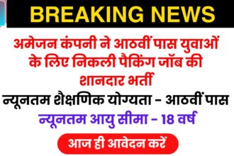 Amazon Packing Jobs: आठवीं पास लड़कों के लिए अमेजन में पैकिंग जॉब, अमेजन पैकिंग जॉब